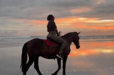 Sunset Gallops